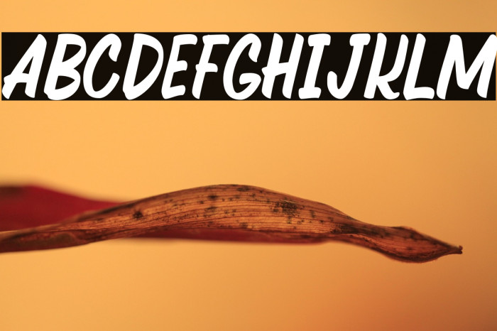 Quechely-Regular Example 3