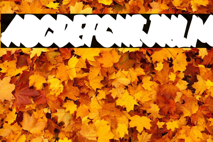 QuechelyExtruded-Regular Example 3