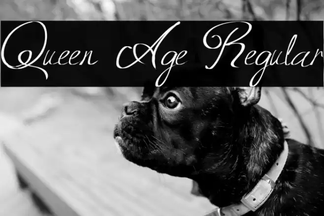 Queen Age Regular Font examples
