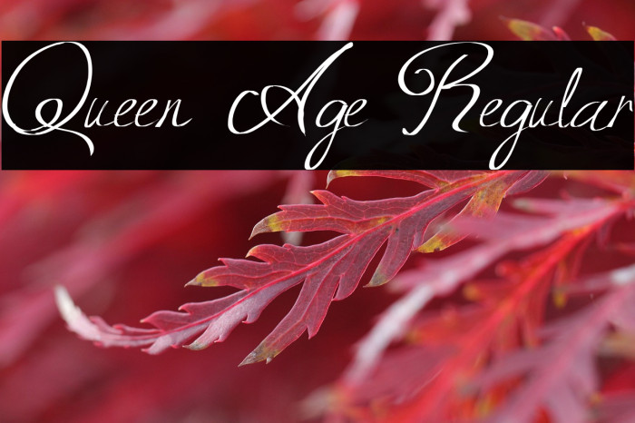 Queen Age Regular Example 2