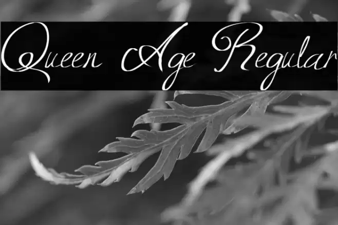 Queen Age Regular Font examples