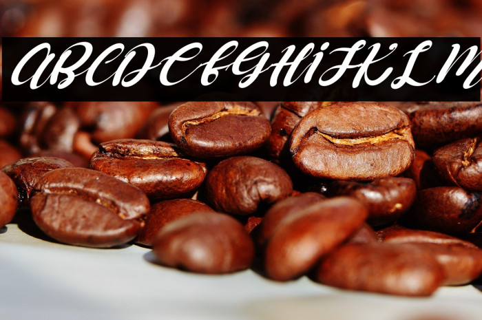 Queen Allura Italic Example 1