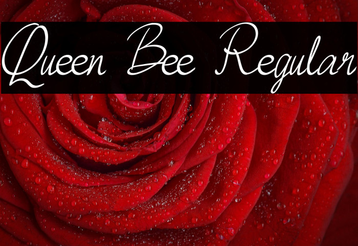 Queen Bee Regular Example 3