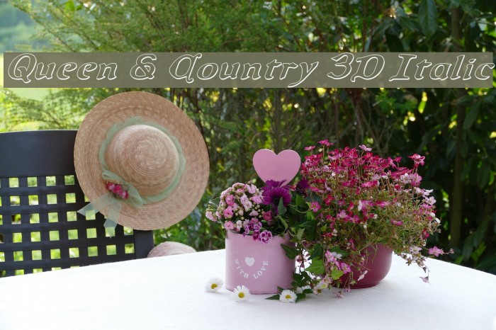 Queen & Country 3D Italic Font examples