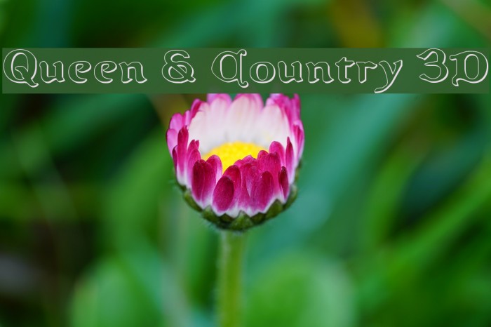 Queen & Country 3D Font examples