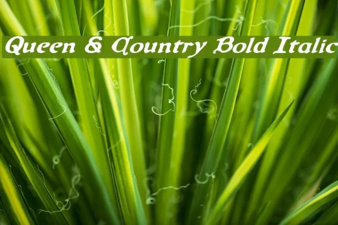 Queen & Country Bold Italic Example 2