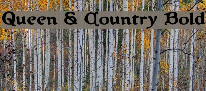 Queen & Country Bold Шрифта examples