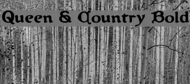 Queen & Country Bold Шрифта examples