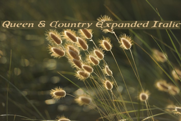 Queen & Country Expanded Italic Font examples