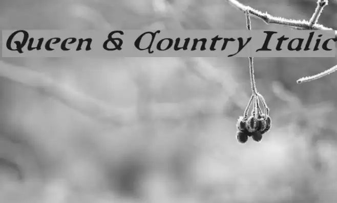 Queen & Country Italic Font examples