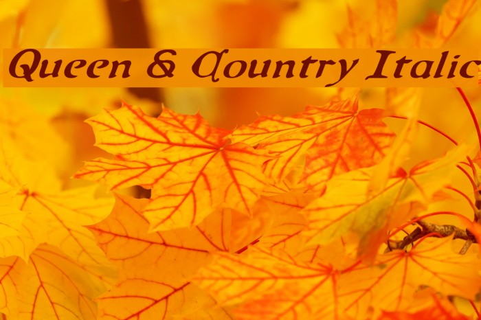 Queen & Country Italic Fonte examples