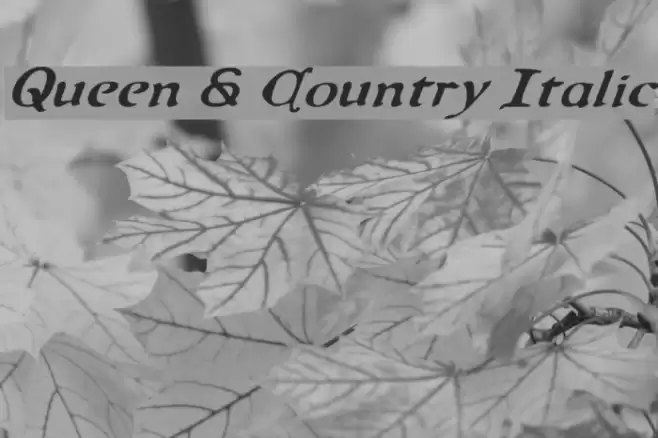 Queen & Country Italic Font examples