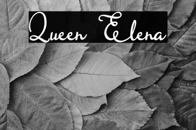 Queen Elena Font examples