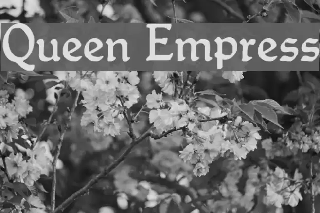 Queen Empress Font examples