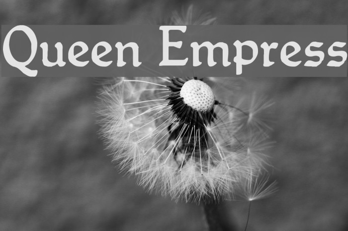 Queen Empress Font examples