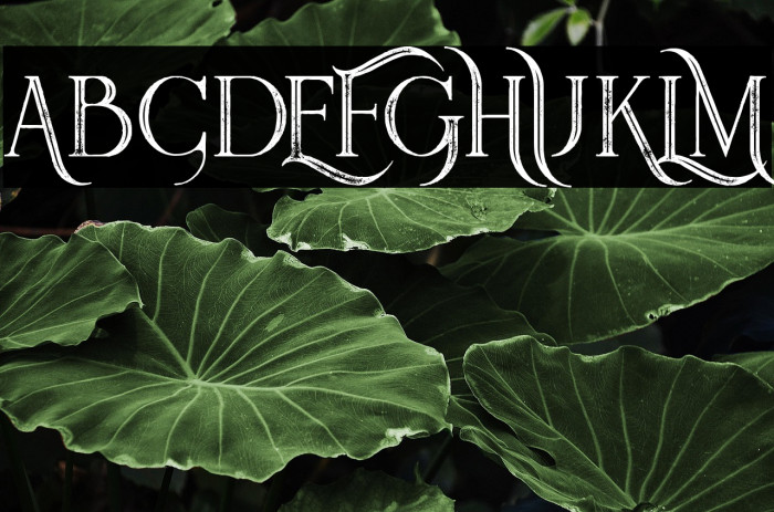 Queen Inline Grunge Example 2