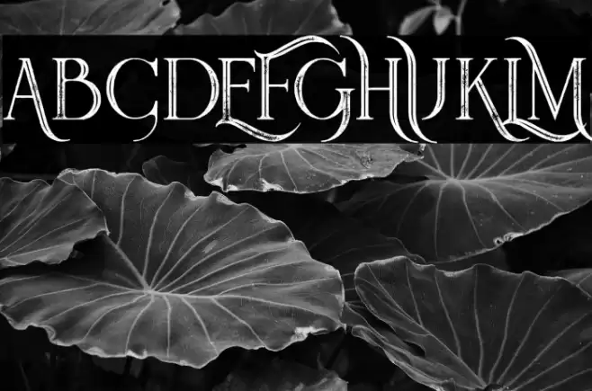 Queen Inline Grunge Font examples