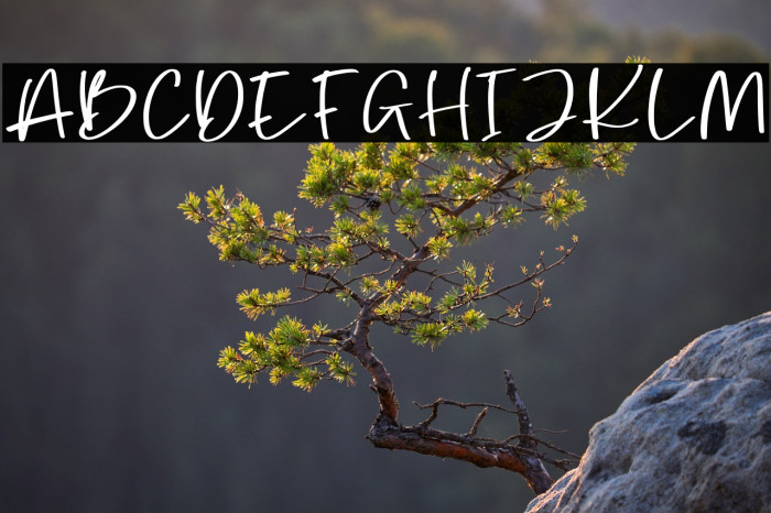 Queen Kyra Personal Use Example 1