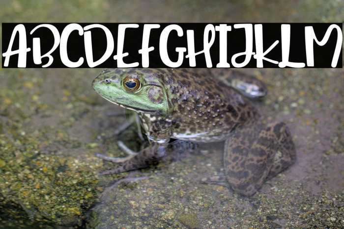 Queen Mataram Example 2