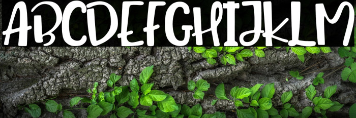 Queen Mataram Example 3