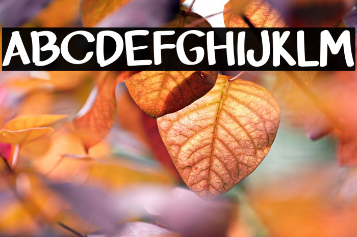 Queen Of Mermaid Example 3