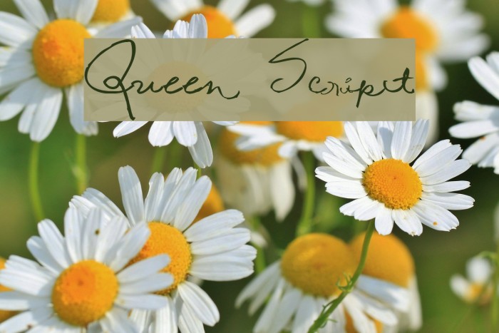 Queen Script Font examples
