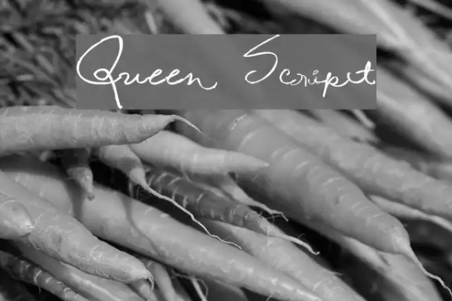 Queen Script Font examples