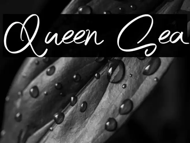 Queen Sea Font examples