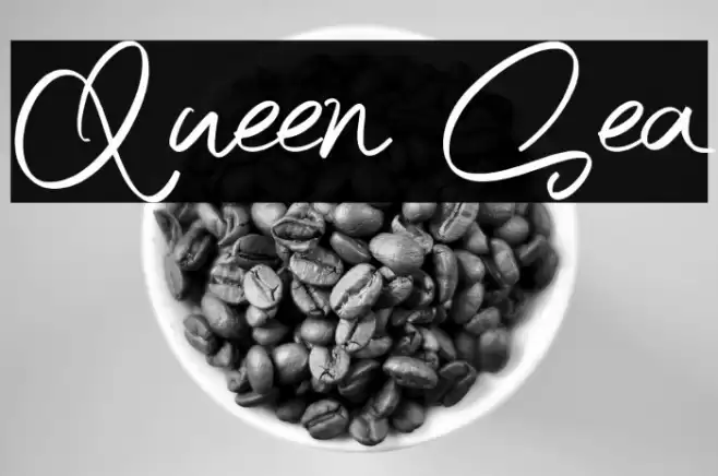 Queen Sea Font examples