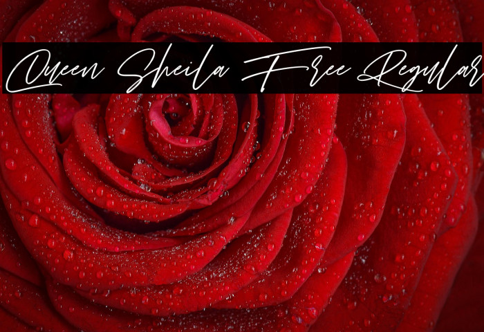 Queen Sheila Free Regular Example 3