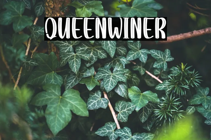 Queen Winter Example 2