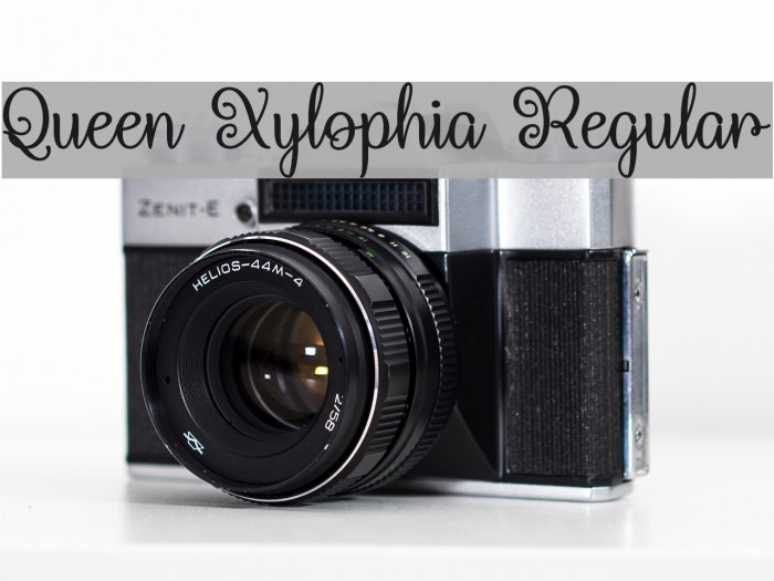 Queen Xylophia Regular Example 2