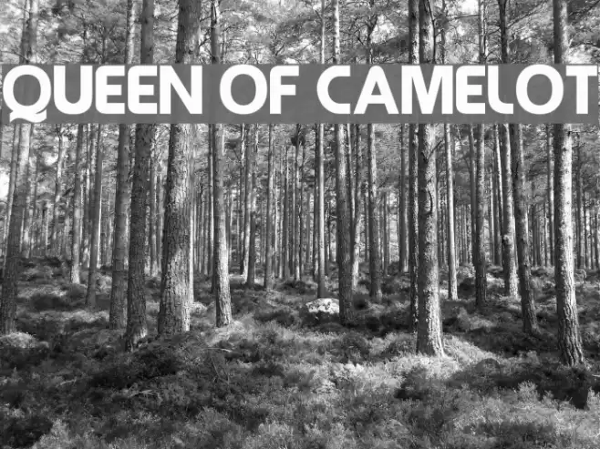 Queen of Camelot Font examples