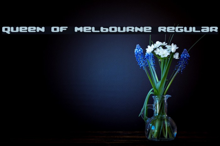 Queen of Melbourne Regular Font examples