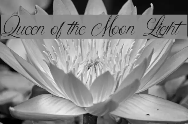 Queen of the Moon Light Font examples