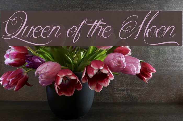 Queen of the Moon Font examples