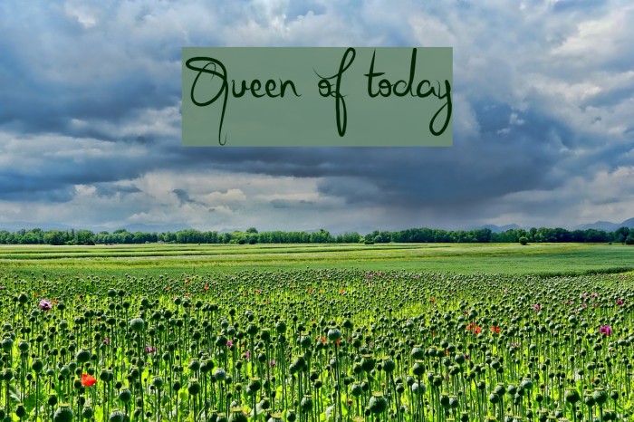 Queen of today Example 1