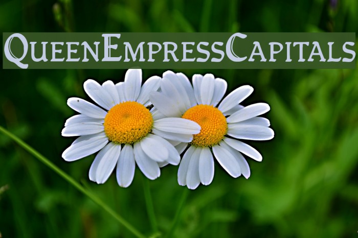 QueenEmpressCapitals Font examples