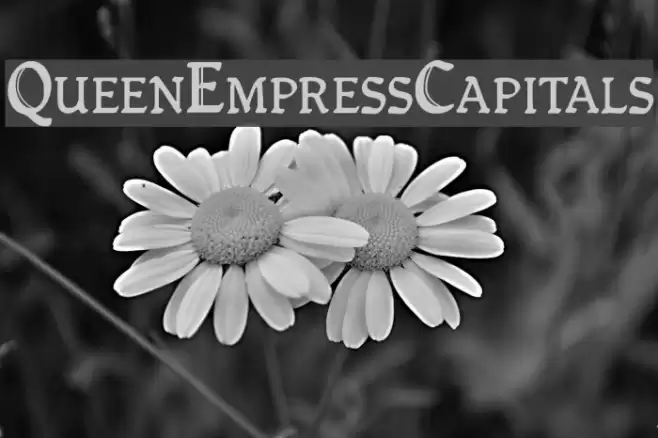 QueenEmpressCapitals フォント examples