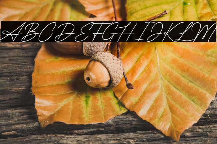 QueenMother Example 2