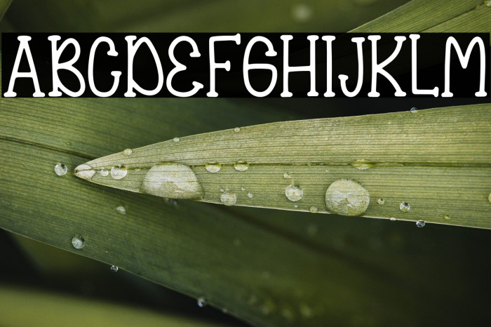 QueenSipurDemo-Regular Example 1