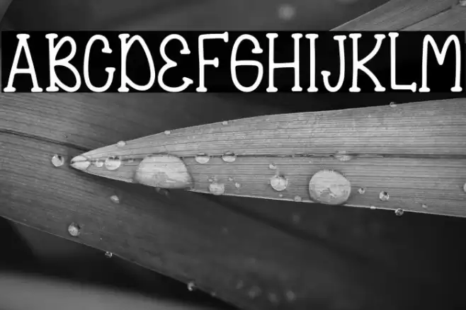 QueenSipurDemo-Regular Font examples