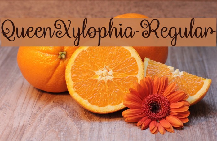 QueenXylophia-Regular Fuentes examples