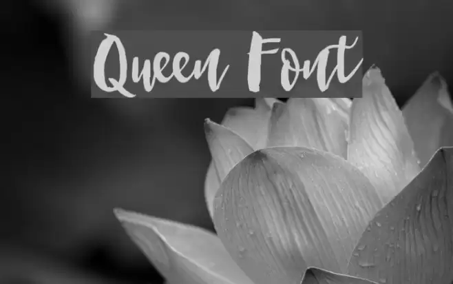 Queen Font examples