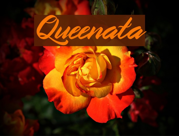 Queenata Font examples