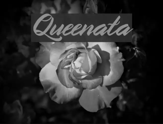 Queenata Font examples
