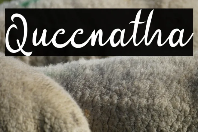 Queenatha Example 1