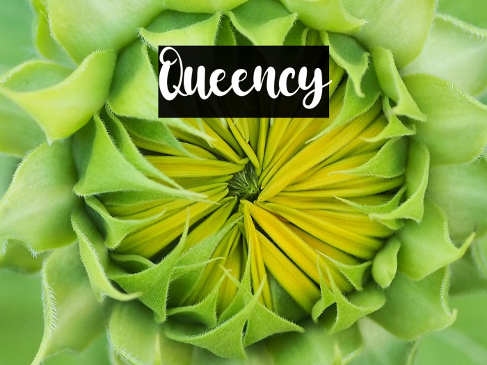 Queency Example 3