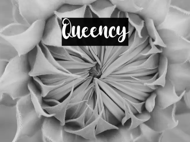 Queency Font examples