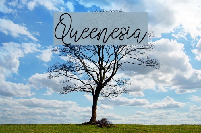 Queenesia Font examples
